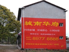 淮滨百分之90的人都不了解的农村墙体广告