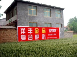 淮滨如何让墙体广告展现最大化效果