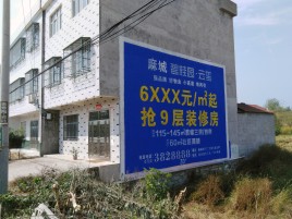 淮滨墙体广告质量分析