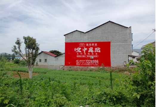淮滨做墙体广告的意义