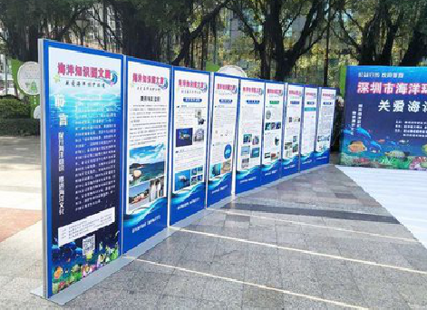 淮滨KT板的种类和知识。